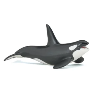 Animales Marinos