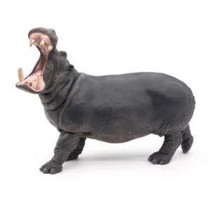 Animales Salvajes